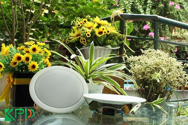 loa-am-tran-db-ts303