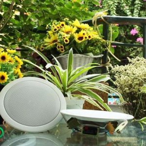 loa-am-tran-db-ts303