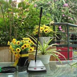 micro-dai-bieu-db-lh8000b