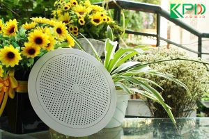 Loa-am-tran-khong-day